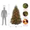 7 ft. Pre-Lit Dunhill® Fir Full Artificial Christmas Tree, Multicolor Lights